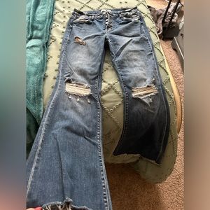 Flying Monkey Flare Jeans